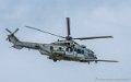 caracal_4083