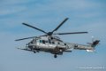 caracal_4086