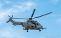 caracal_4094