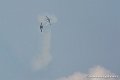 paf_2208