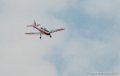 chipmunk_2616