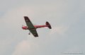 chipmunk_2618