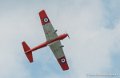 chipmunk_2620