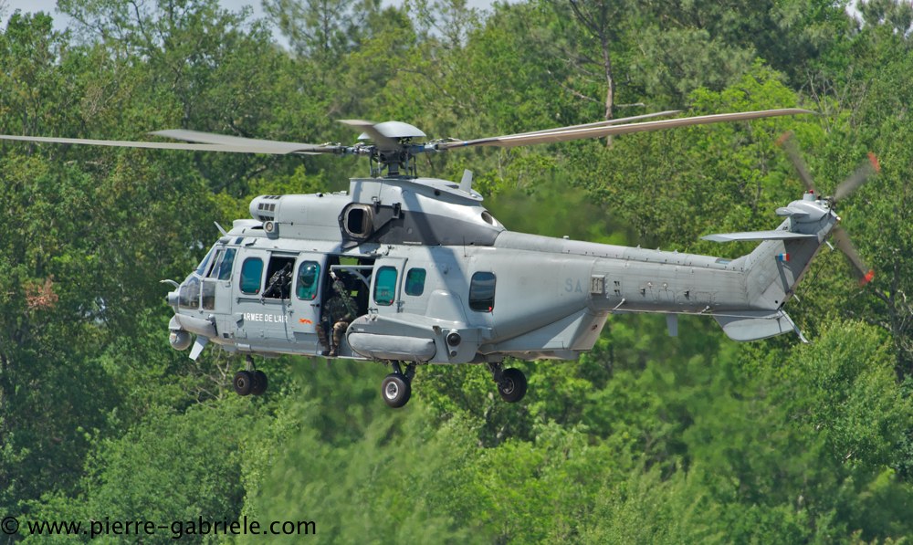 caracal_4565.jpg