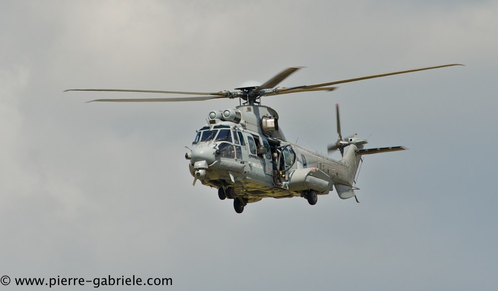 caracal_4578.jpg