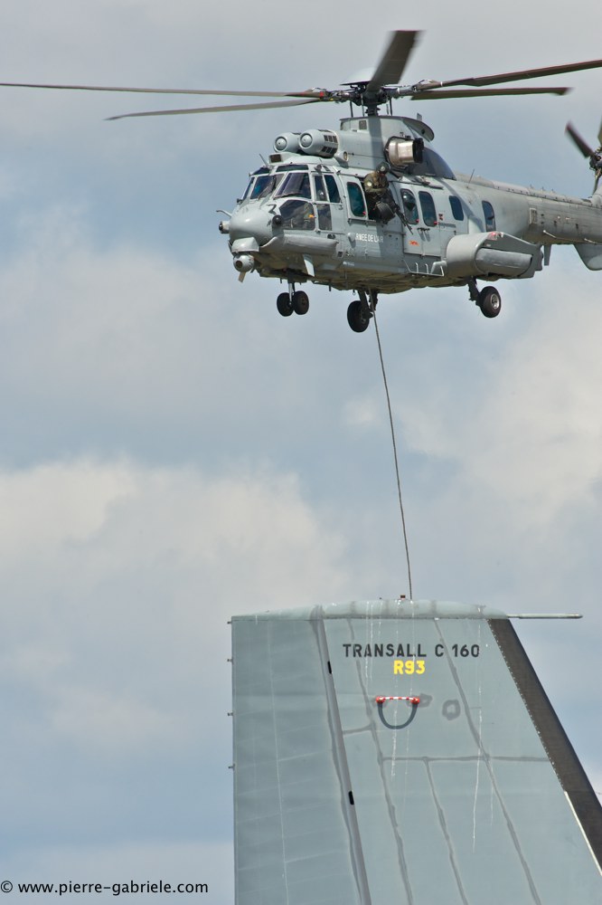caracal_4604.jpg