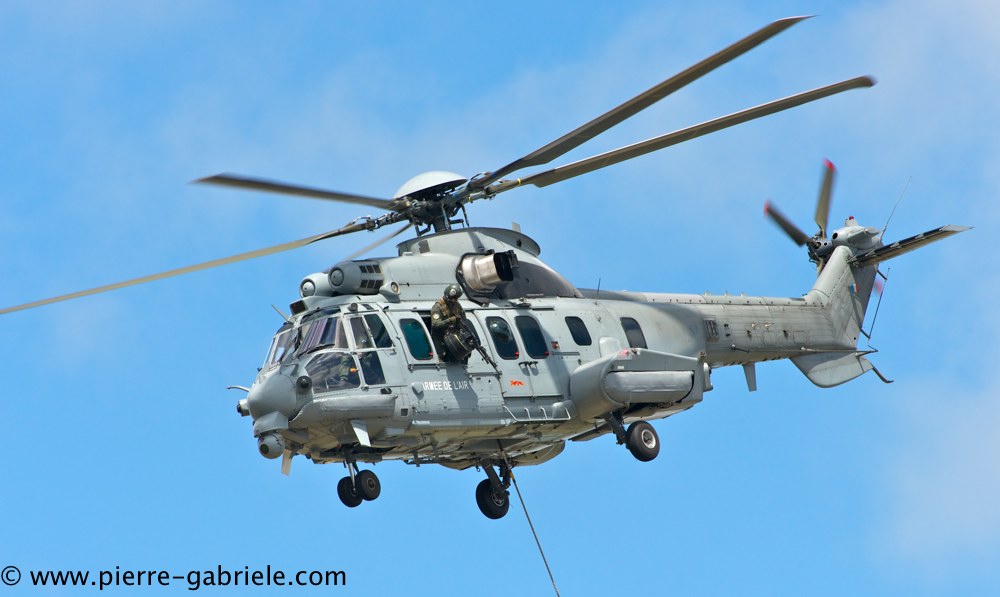 caracal_4607.jpg