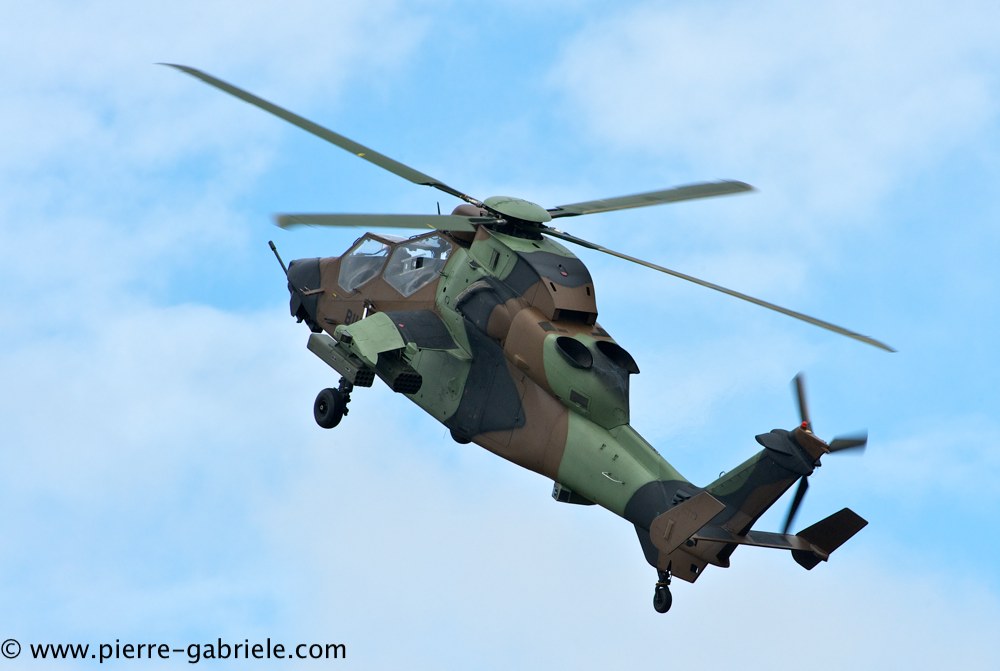 tigre_4159.jpg