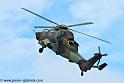 tigre_4159