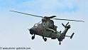 tigre_4160