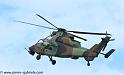 tigre_4165