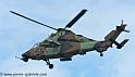 tigre_4166