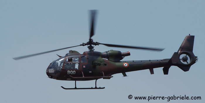 gazelle_8595.jpg