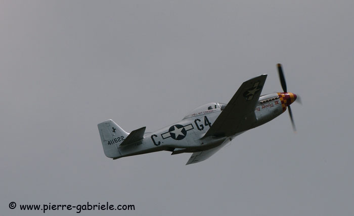 mustang_7802.jpg