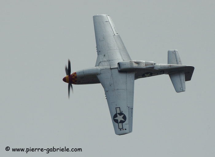 mustang_7809.jpg