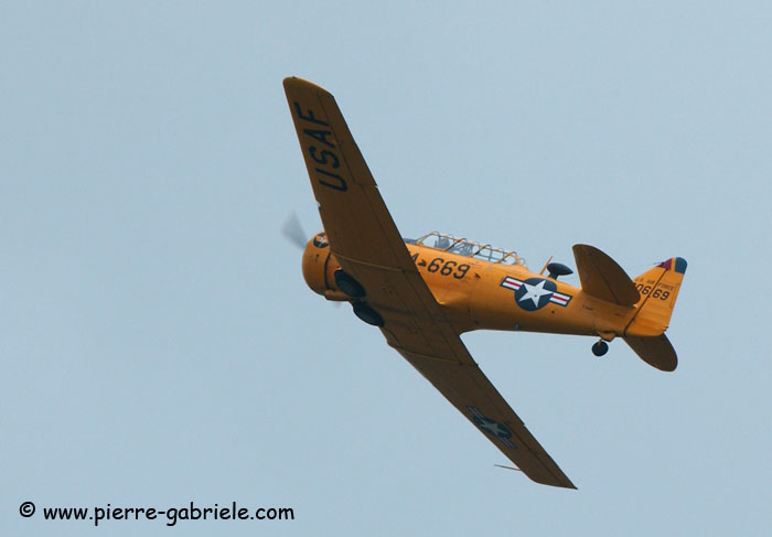 t6_8449.jpg