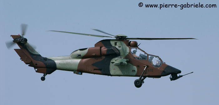 tigre_8165.jpg