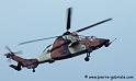 tigre_8149