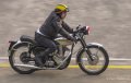 BSA-topaz
