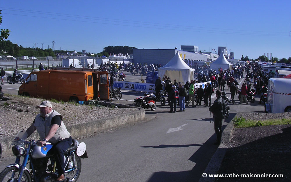 DSCN8231.jpg
