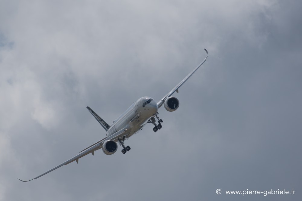airbus350-1000-d750__6699.jpg