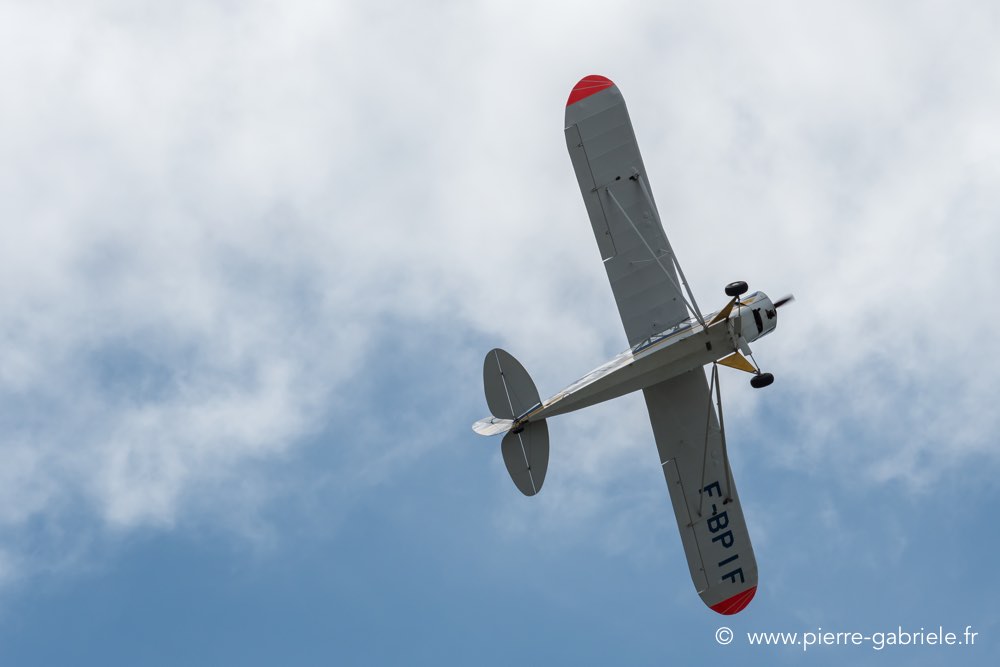 piper-d500__2445.jpg