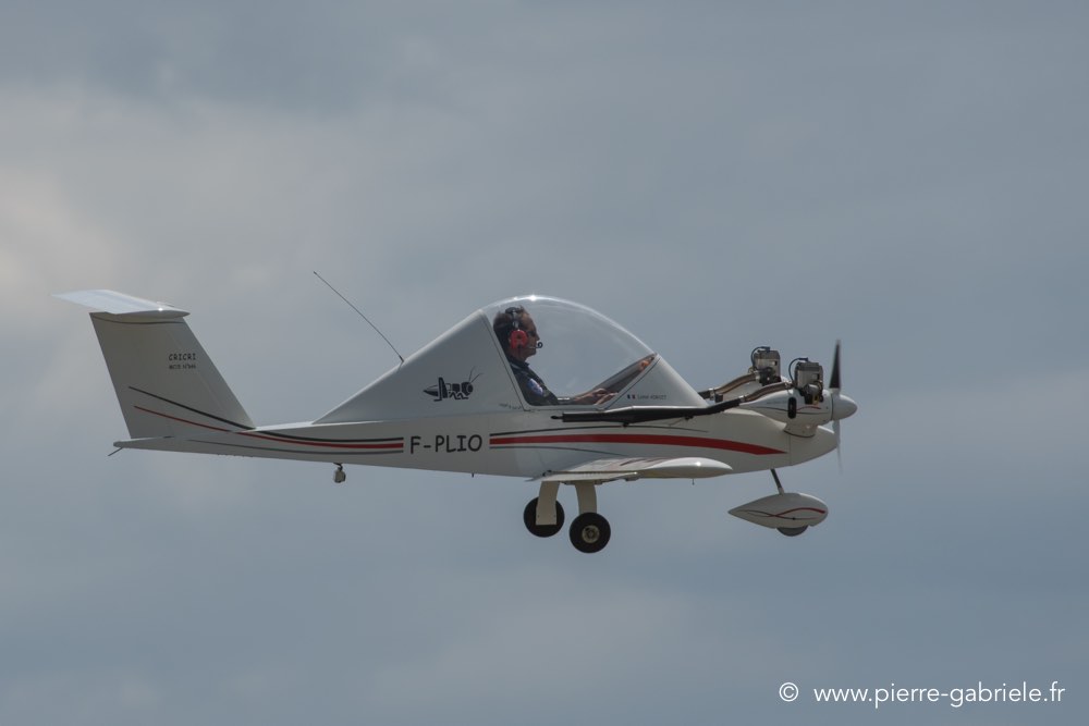 cricri-d500__2471.jpg