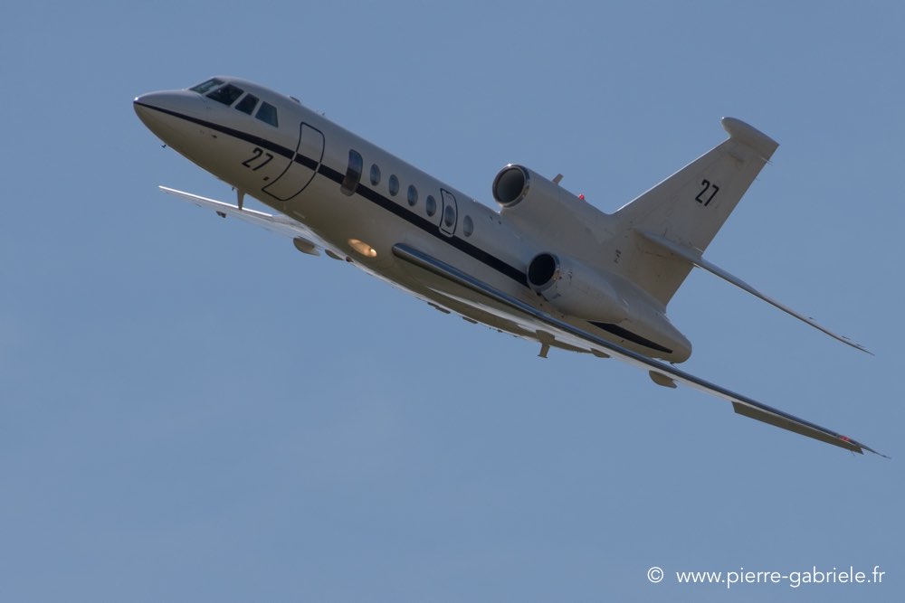 falcon50-d500__2571.jpg