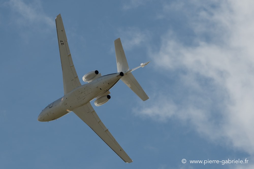 falcon50-d500__2573.jpg