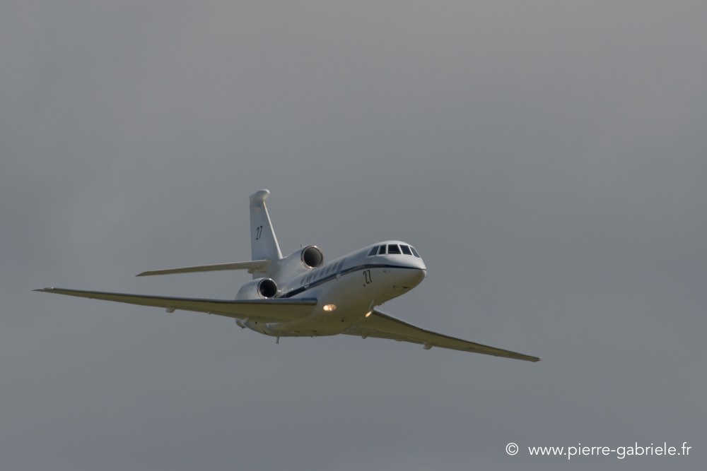 falcon50-d500__2575.jpg