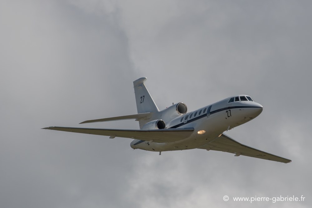falcon50-d500__2576.jpg