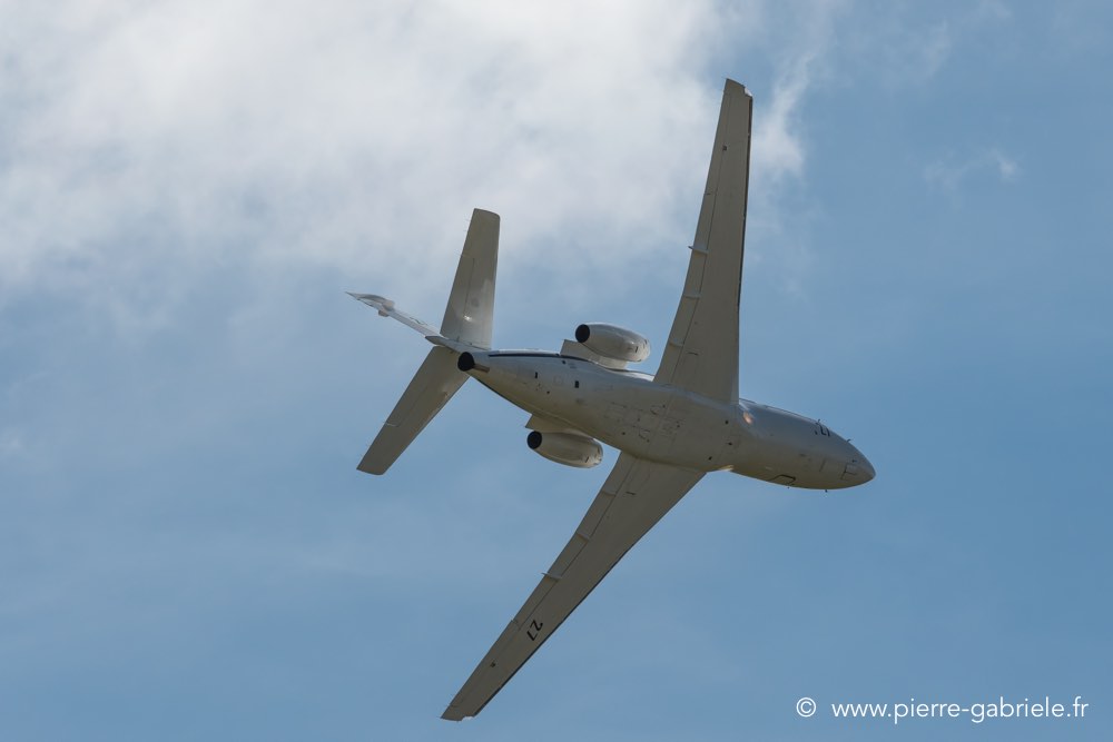 falcon50-d500__2579.jpg