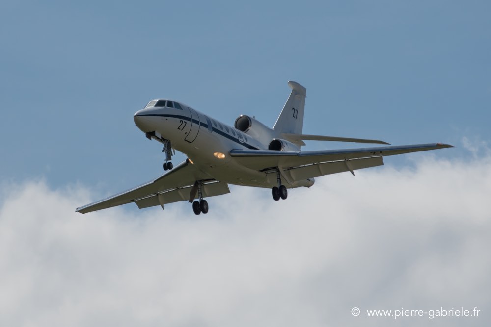 falcon50-d500__2583.jpg