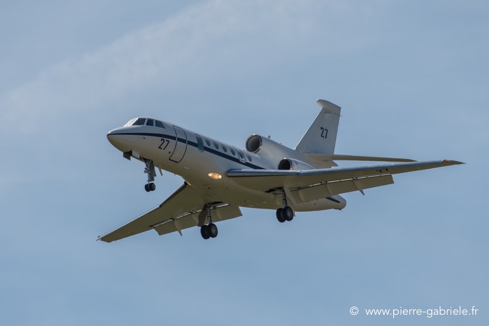 falcon50-d500__2584.jpg
