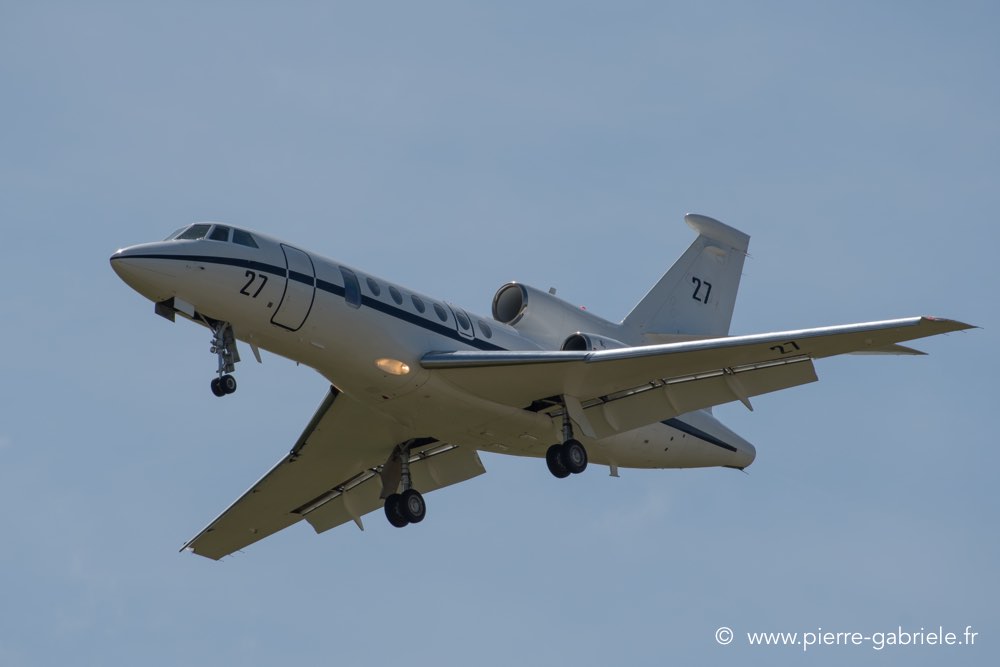 falcon50-d500__2586.jpg