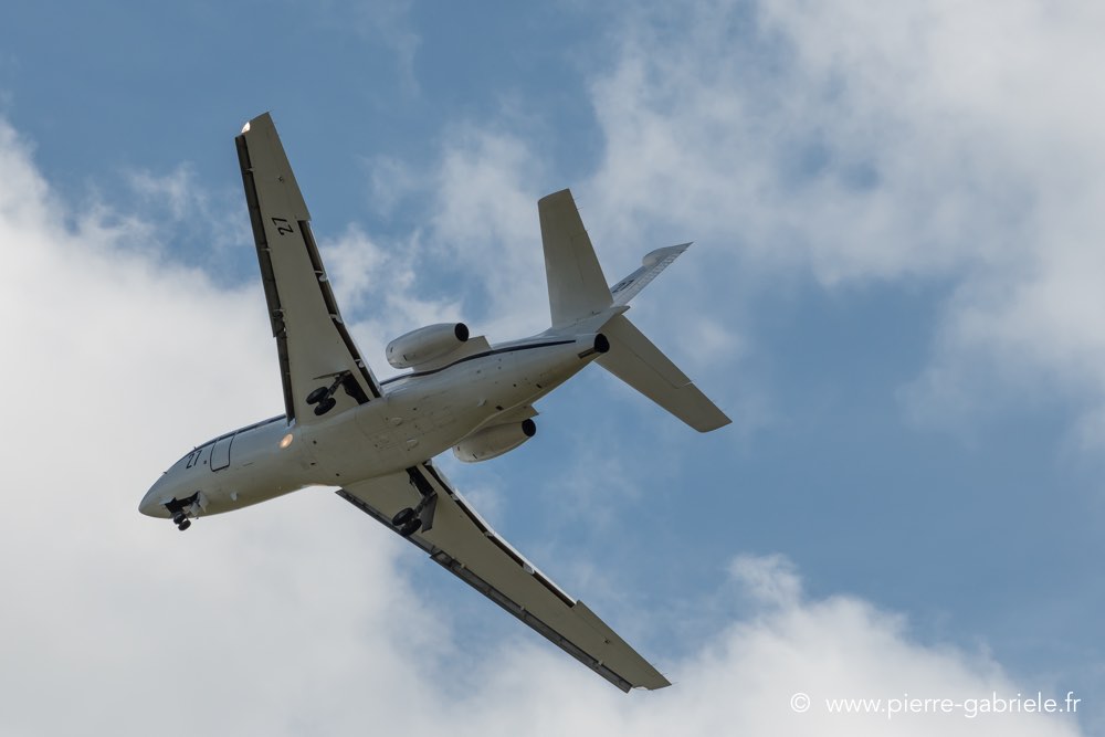 falcon50-d500__2588.jpg