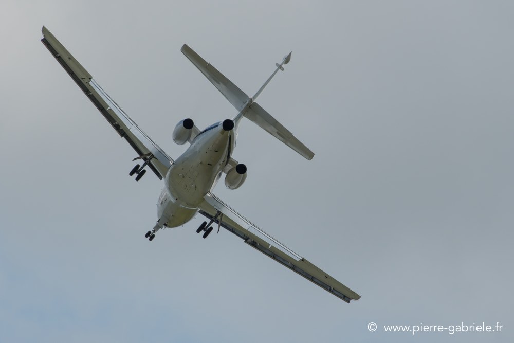 falcon50-d500__2589.jpg
