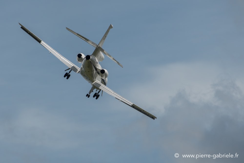 falcon50-d500__2590.jpg
