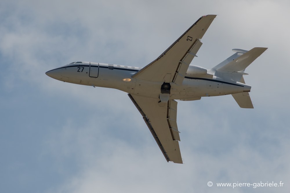 falcon50-d500__2594.jpg