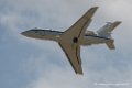 falcon50-d500__2594
