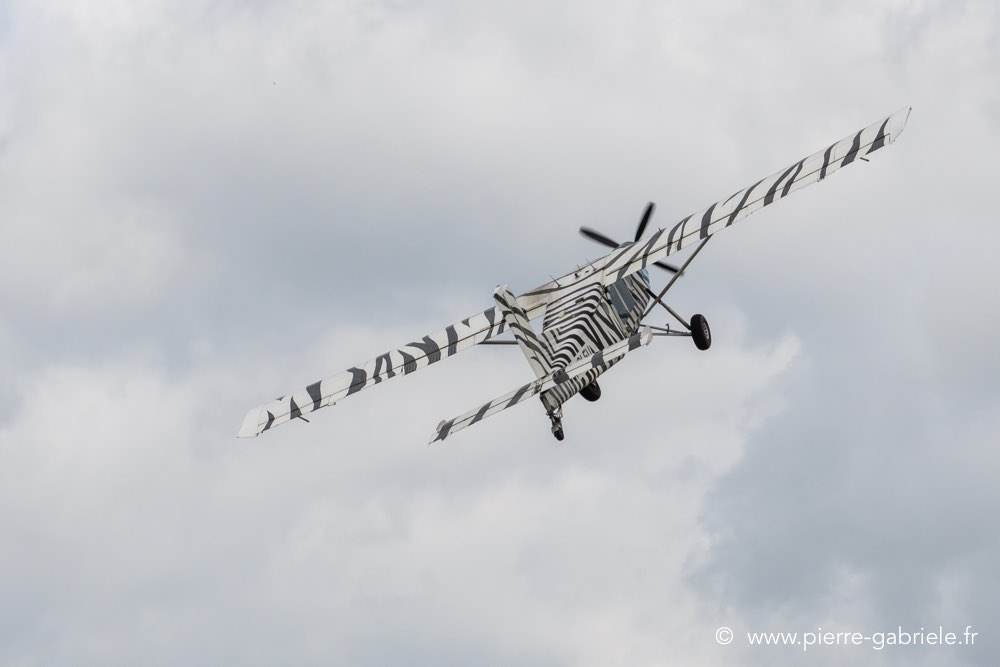 pilatus-d500__2295.jpg