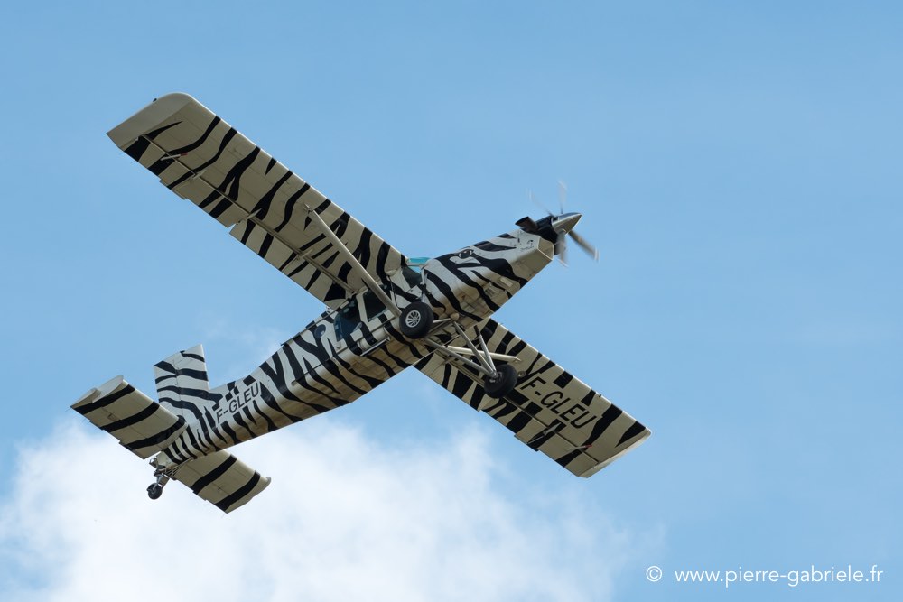 pilatus-d500__2635.jpg