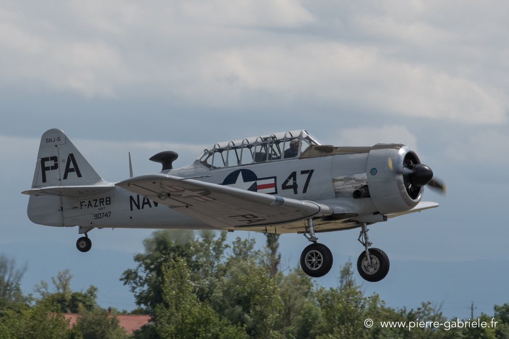 t6-d500__2487.jpg
