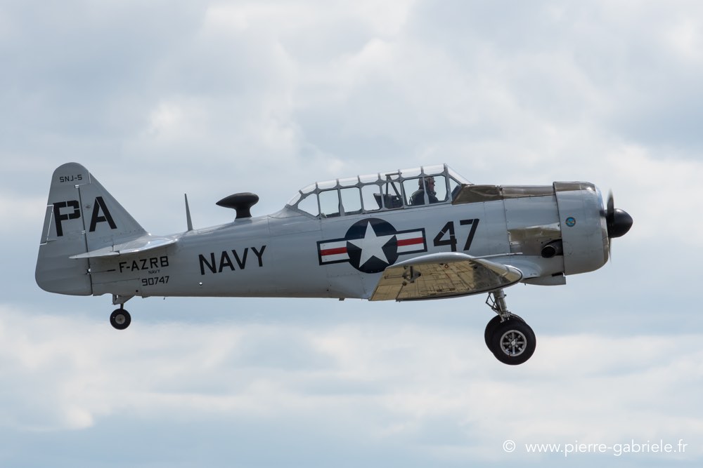 t6-d500__2488.jpg