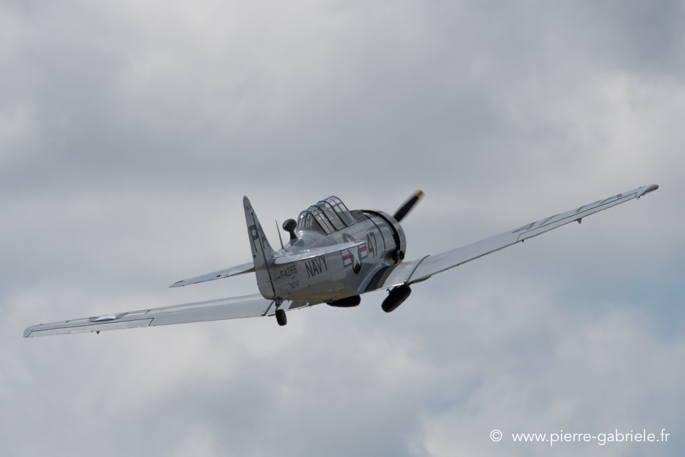 t6-d500__2491.jpg