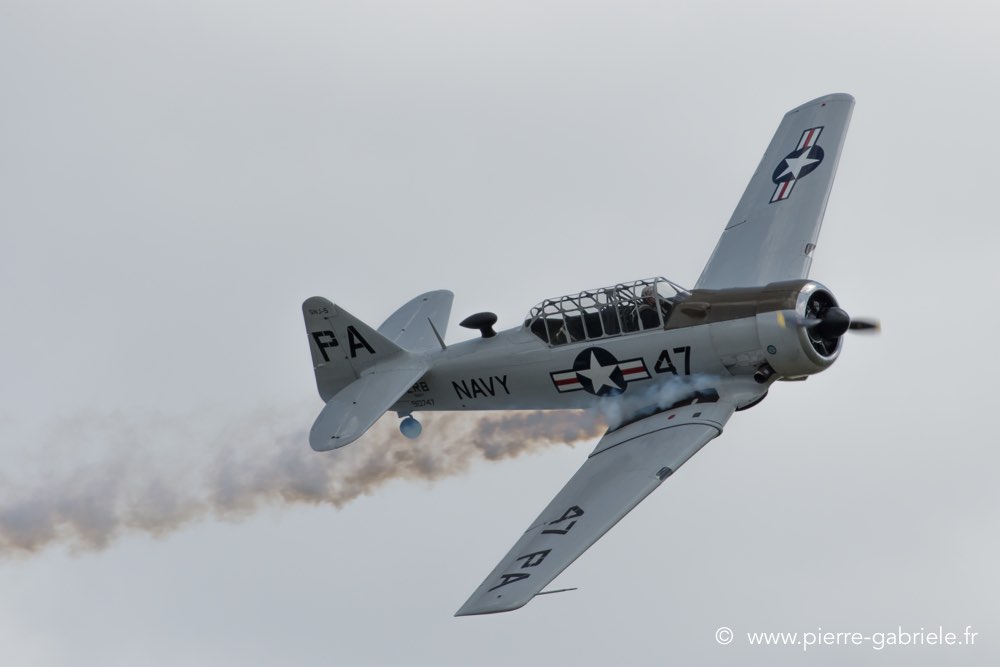 t6-d500__2508.jpg