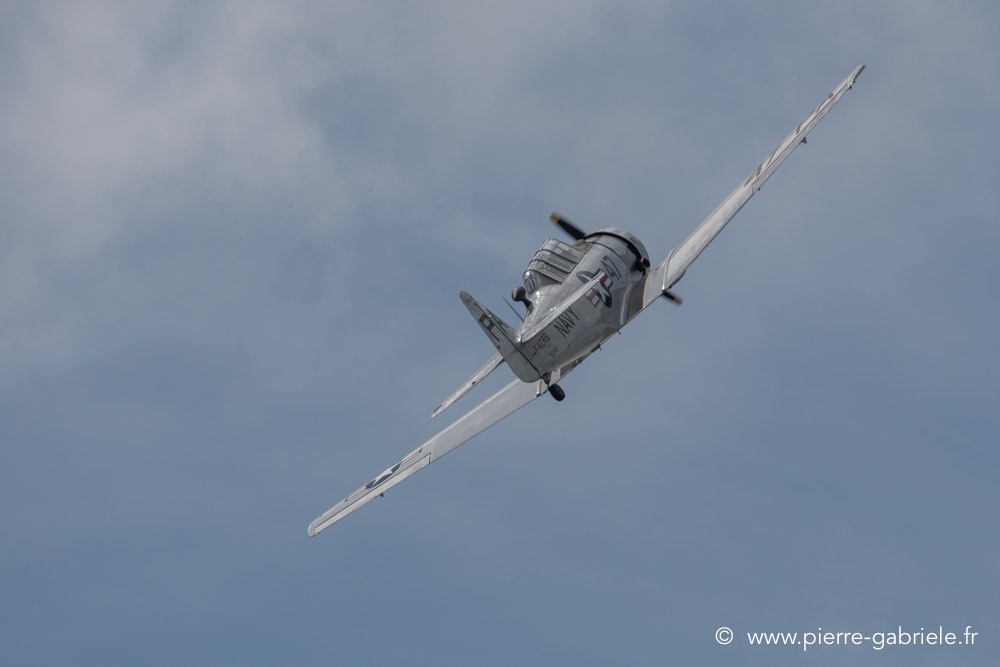 t6-d500__2525.jpg
