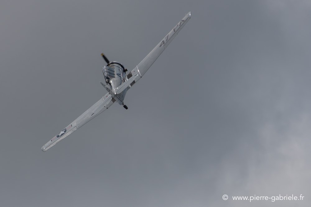 t6-d500__2526.jpg