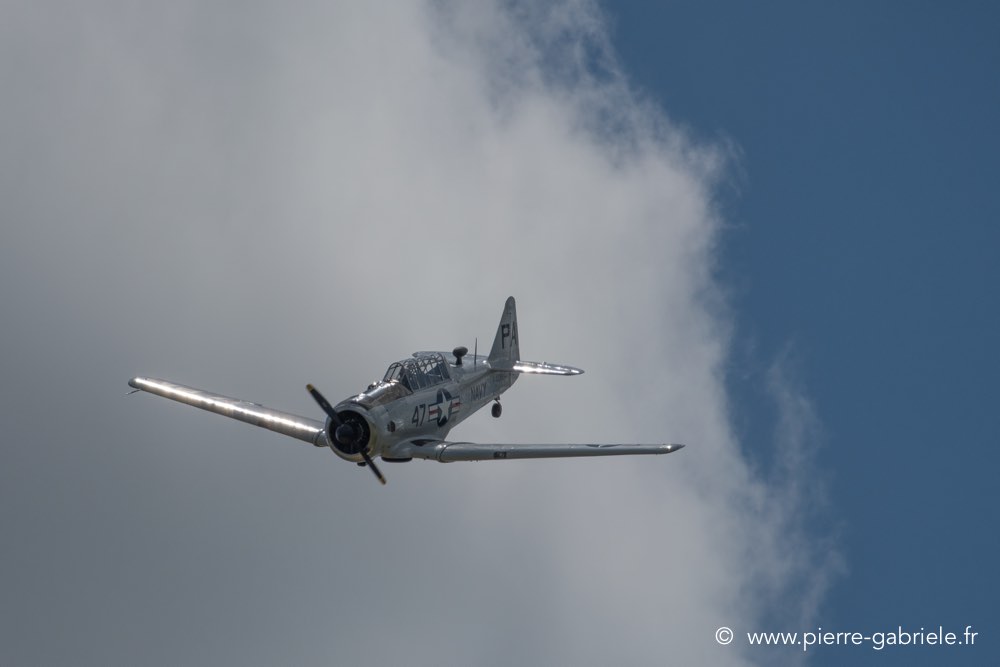 t6-d500__2527.jpg