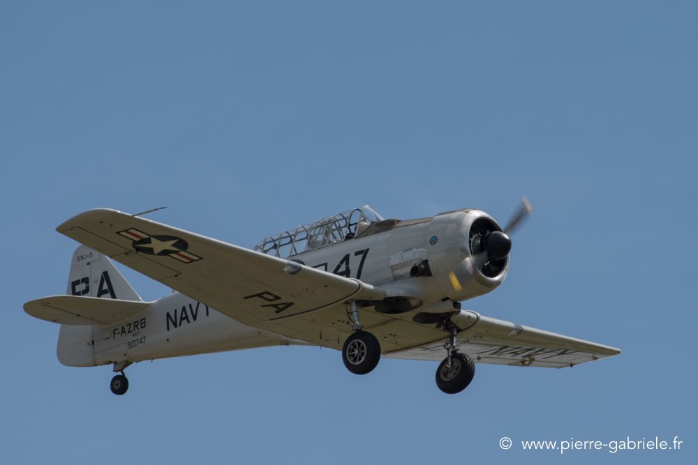 t6-d500__2530.jpg